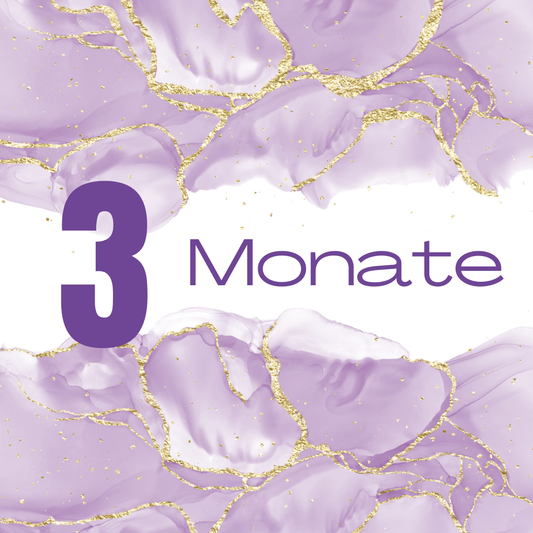 3-Monatspaket AiL